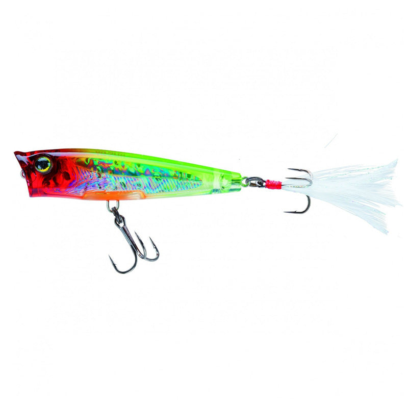 Topwater 3Ds Popper, High-Performance, #HB5P369A