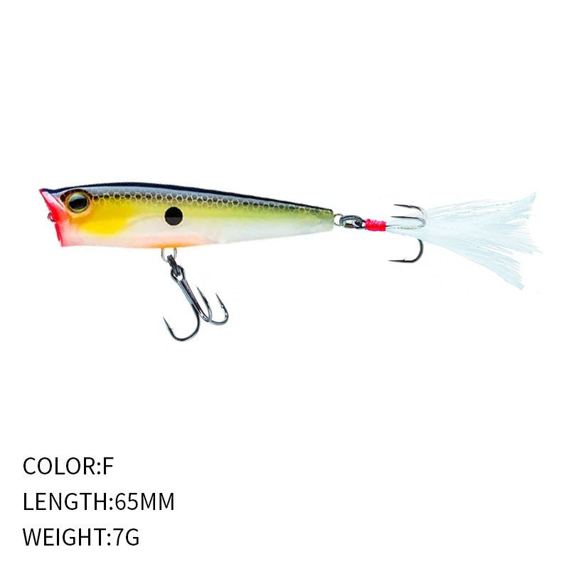 Topwater 3Ds Popper, High-Performance, #HB5P369A