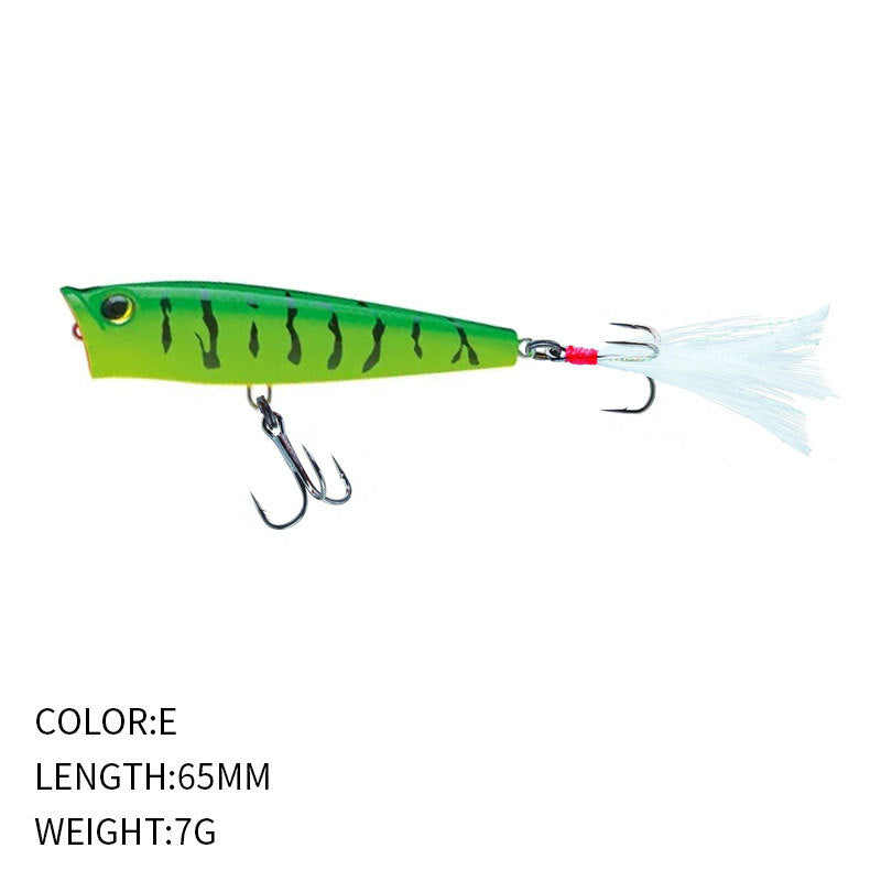 Topwater 3Ds Popper, High-Performance, #HB5P369A