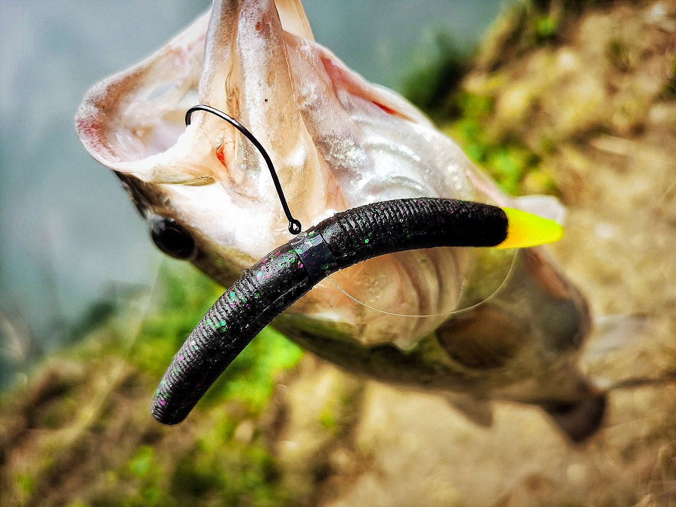Soft Plastic Stickbait SENKO Worm, Color Tail #SB40108A