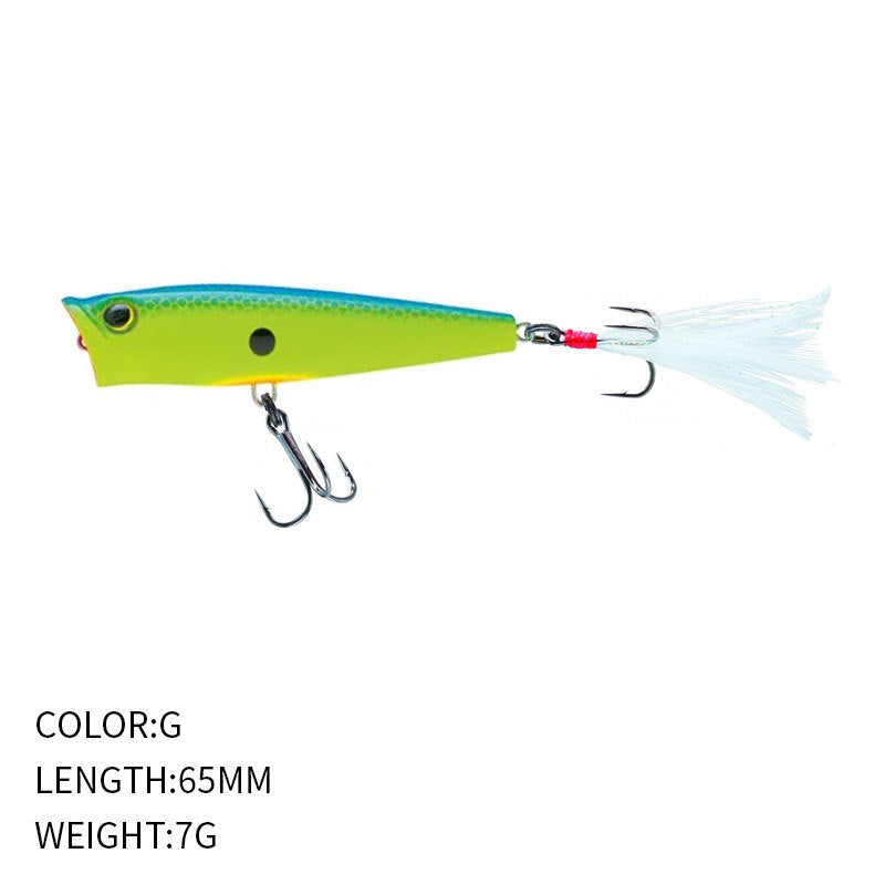 Topwater 3Ds Popper, High-Performance, #HB5P369A
