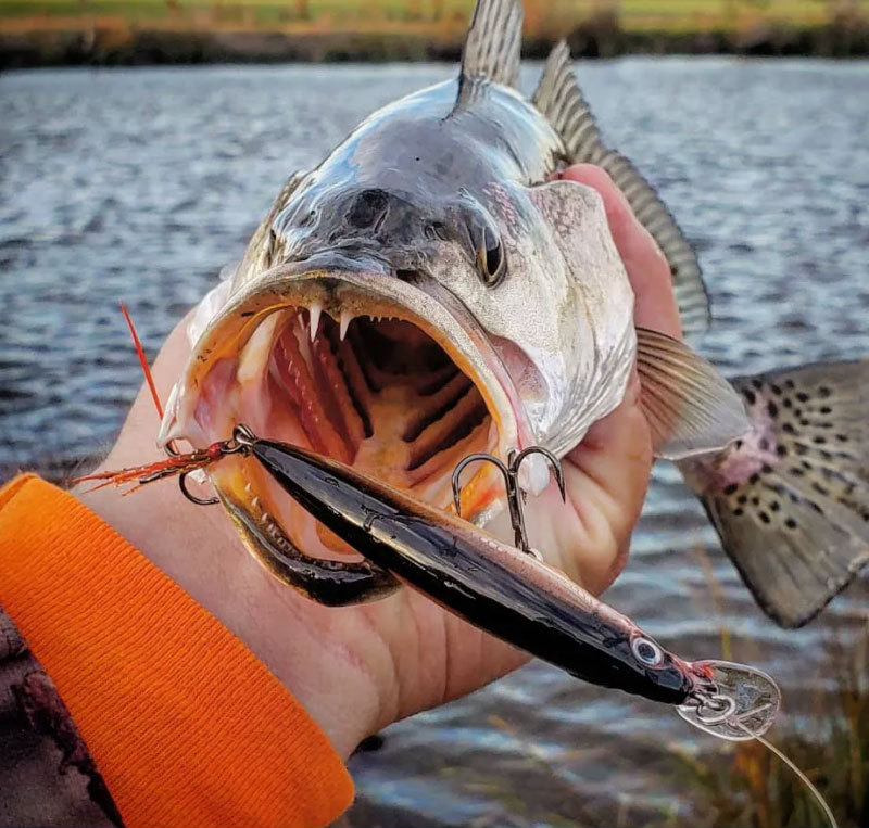 Twitching Minnow Lure JerkBait, Supending (95mm / 13g),#HB59217A