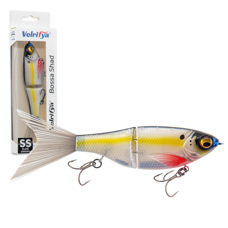 Bossa Shad — Silver Bleed Shad