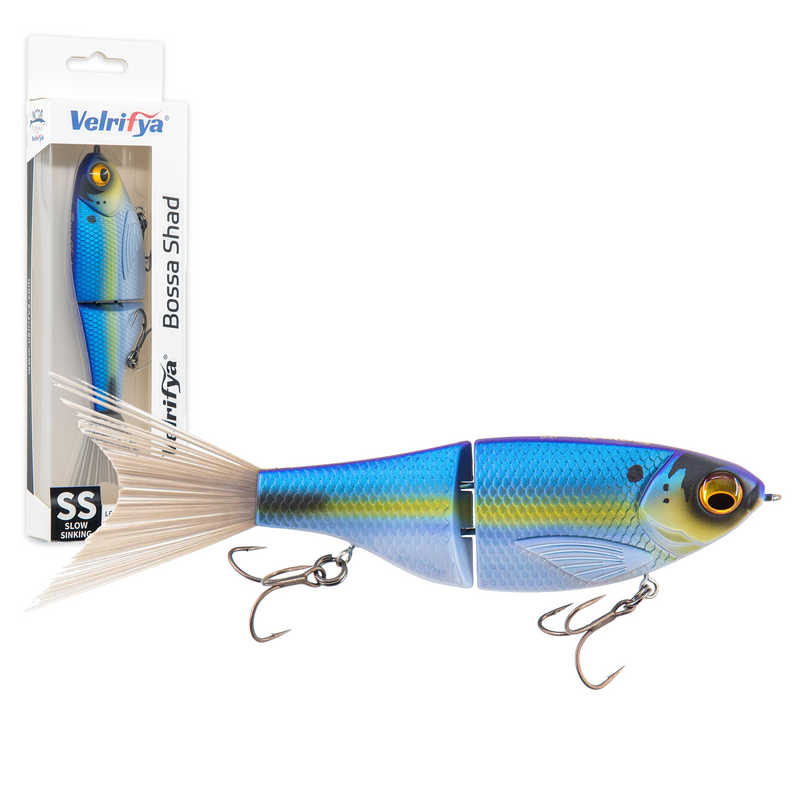 Bossa Shad — Ghost Blue Shad