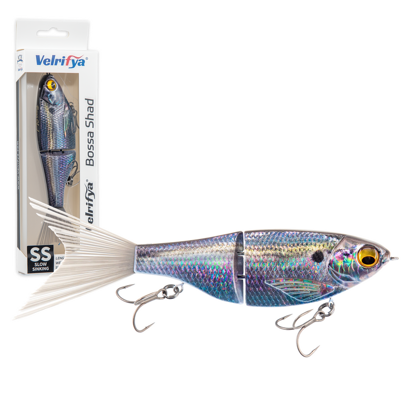 Bossa Shad — Iridescent Real Shad