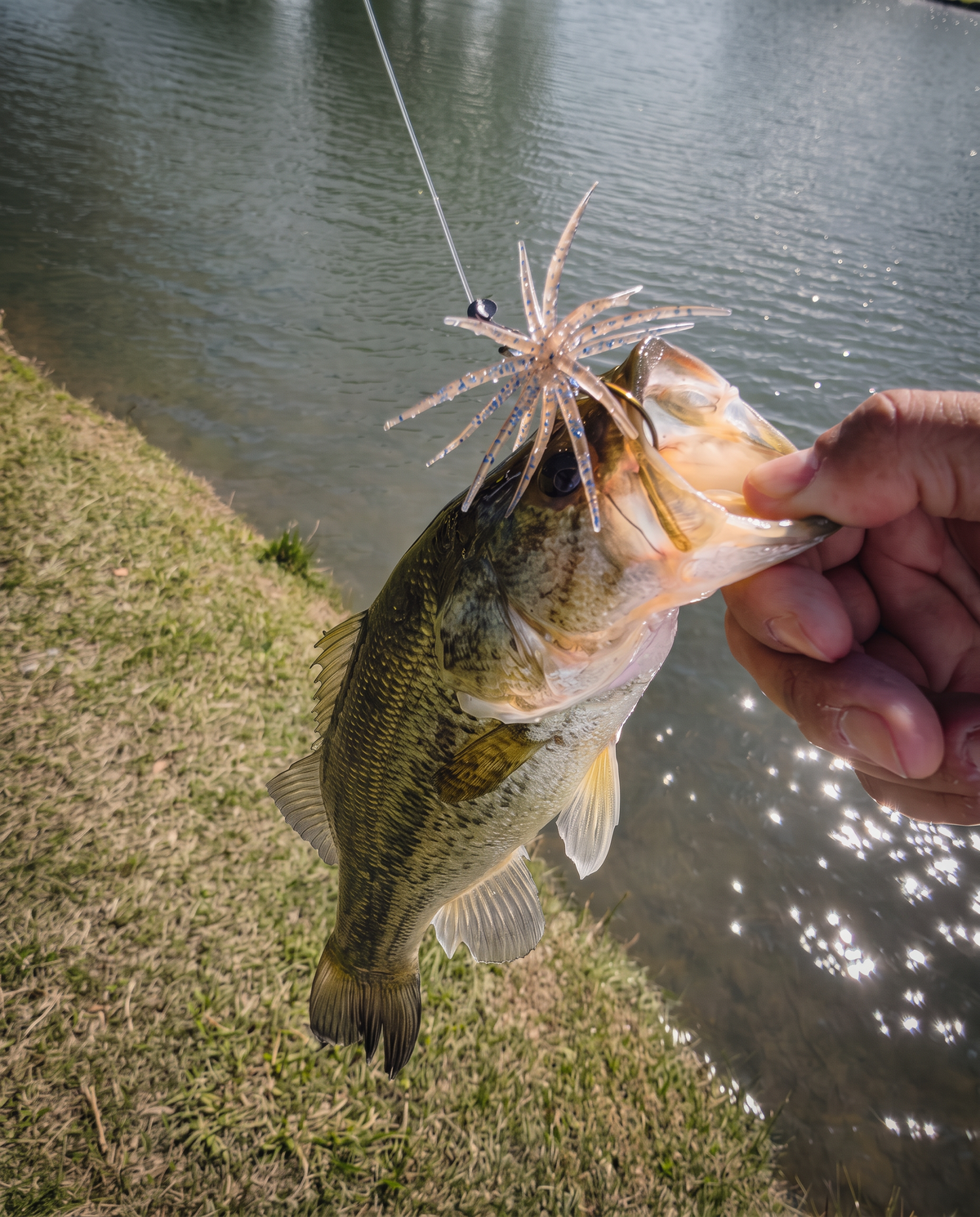 Angler fishing from a bass boat