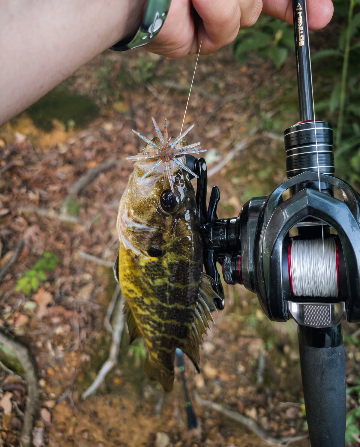 Angler fishing from a bass boat